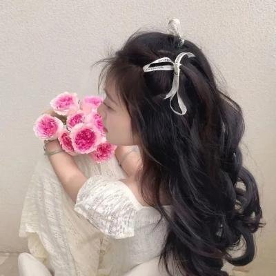 天竺鼠车车学车篇